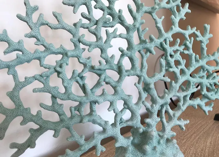 公寓 Beachfront Penthouse - El Mirador De Bermuda Beach